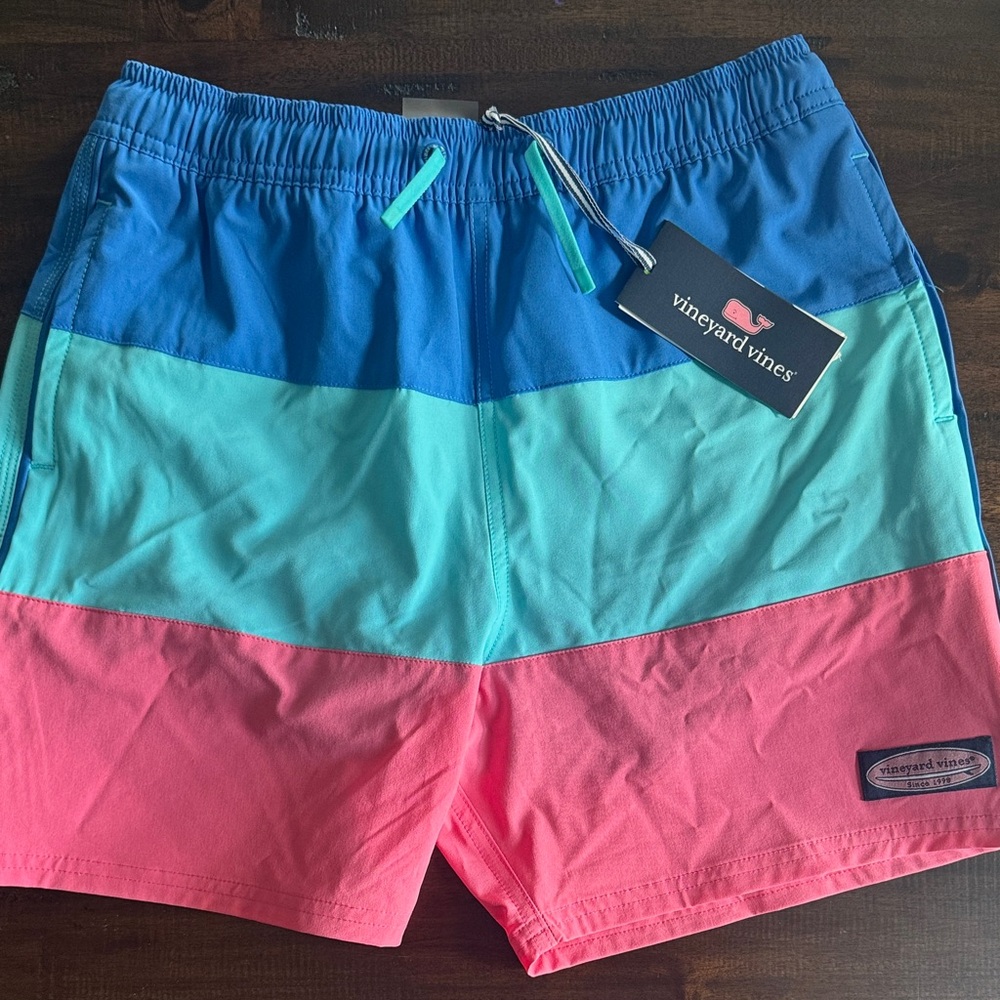 Vineyard Vines Men's Colorblock Swim Shorts in Blue, Teal & Pink